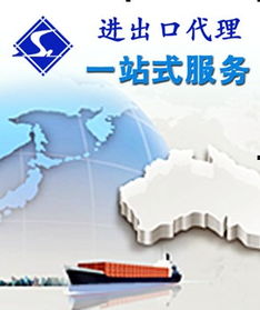 中小企業(yè)代理商服務(wù) 國(guó)內(nèi)貿(mào)易代理與出口貿(mào)易服務(wù)全面指南
