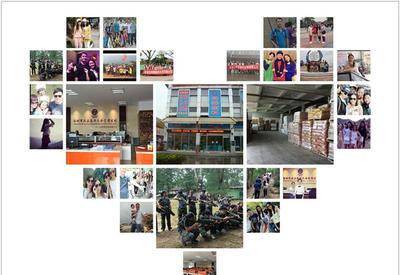 8G黃、8G熒光黃、5#綠、熒光黃8G等塑料熒光顏料 鞍山七彩惠豐標(biāo)準(zhǔn)詳解及市場采購指南