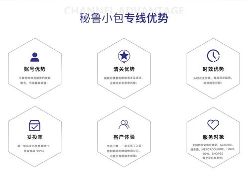 拉丁美洲D(zhuǎn)DP報價解析 信息咨詢服務(wù)的成本與價值